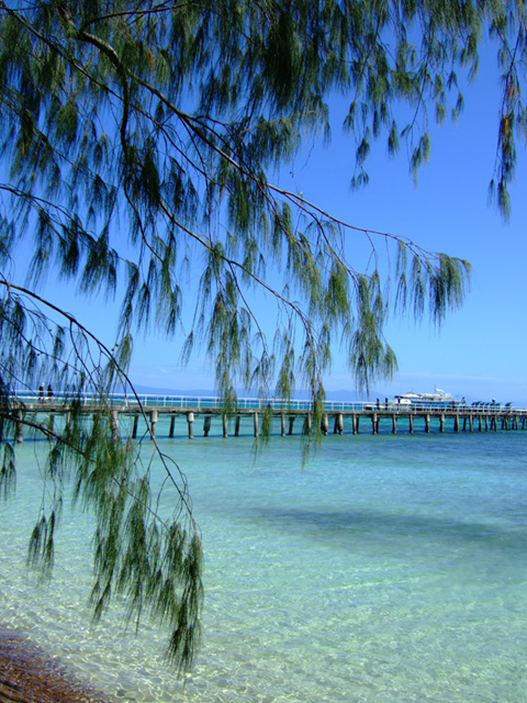 Green IslandのPeacefulな風景